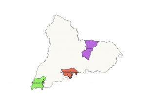 Reglamento interno de Municipios de Tacuaremb&oacute;