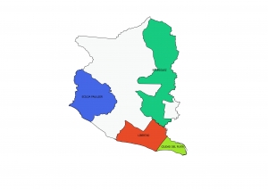 Reglamento interno de Municipios de San Jos&eacute;